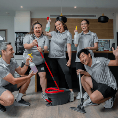 Made in Wolls — premium cleaning services, Sydney